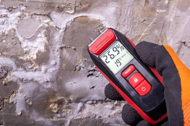 Best Mold Testing  in Cactus Flats, AZ