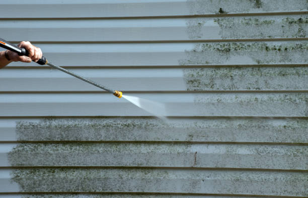 Best Mold Cleaning Services  in Cactus Flats, AZ