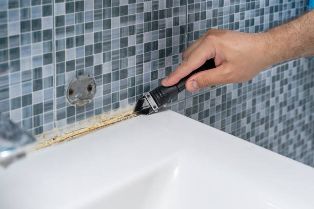 Home Mold Removal in Cactus Flats, AZ